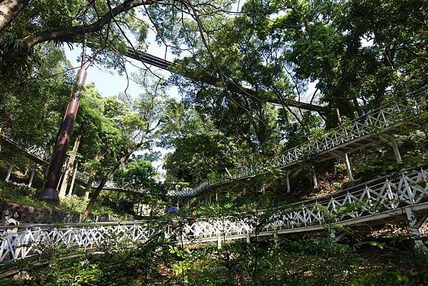 嘉義縣竹崎鄉竹崎親水公園：天空走廊 (22).JPG