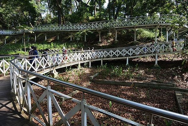 嘉義縣竹崎鄉竹崎親水公園：天空走廊 (24).JPG