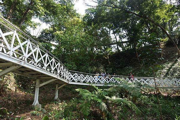 嘉義縣竹崎鄉竹崎親水公園：天空走廊 (27).JPG