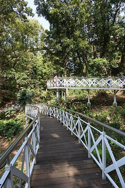 嘉義縣竹崎鄉竹崎親水公園：天空走廊 (29).JPG