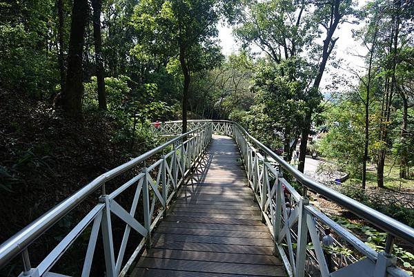 嘉義縣竹崎鄉竹崎親水公園：天空走廊 (31).JPG