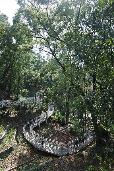 嘉義縣竹崎鄉竹崎親水公園：天空走廊 (34).JPG