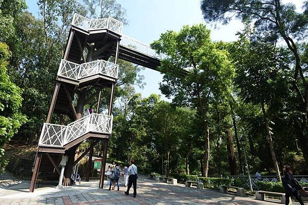 嘉義縣竹崎鄉竹崎親水公園：天空走廊 (35).JPG