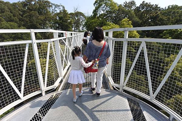 嘉義縣竹崎鄉竹崎親水公園：天空走廊 (37).JPG