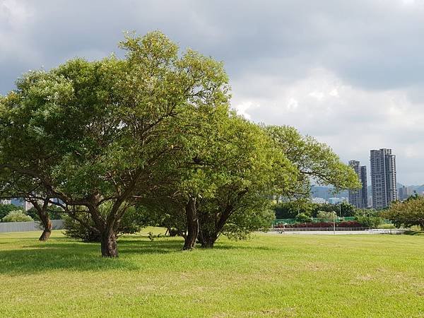 台北市華中河濱公園 (18).jpg