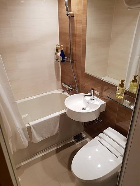 日本東京都CANDEO HOTELS TOKYO SHIMBASHI：Double Room (5).jpg