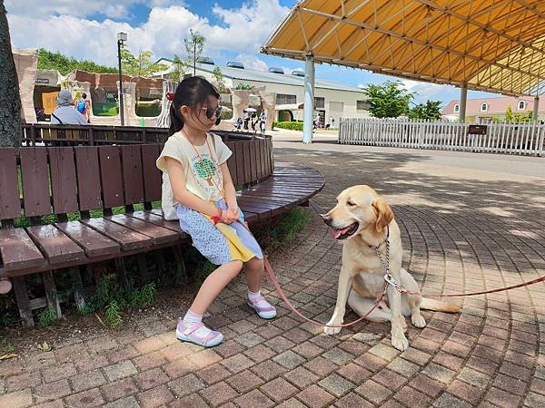 日本栃木県那須どうぶつ王国：レンタル犬 (4).jpg