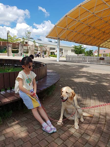 日本栃木県那須どうぶつ王国：レンタル犬 (5).jpg