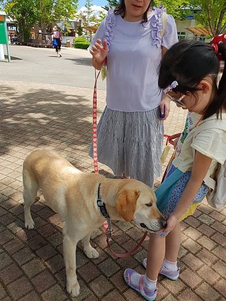 日本栃木県那須どうぶつ王国：レンタル犬 (6).jpg