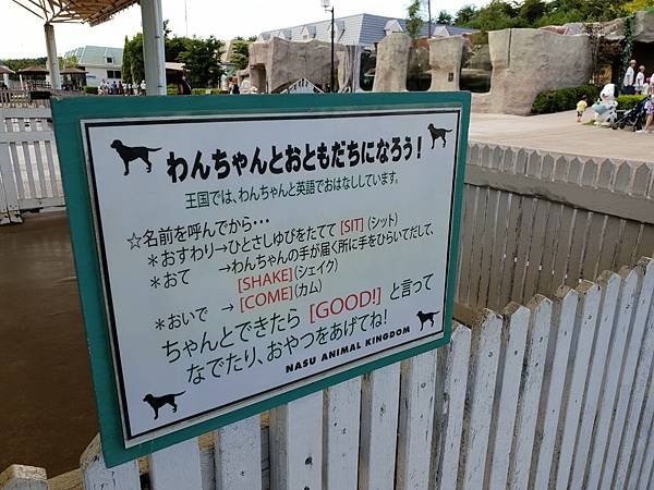 日本栃木県那須どうぶつ王国：レンタル犬 (20).jpg