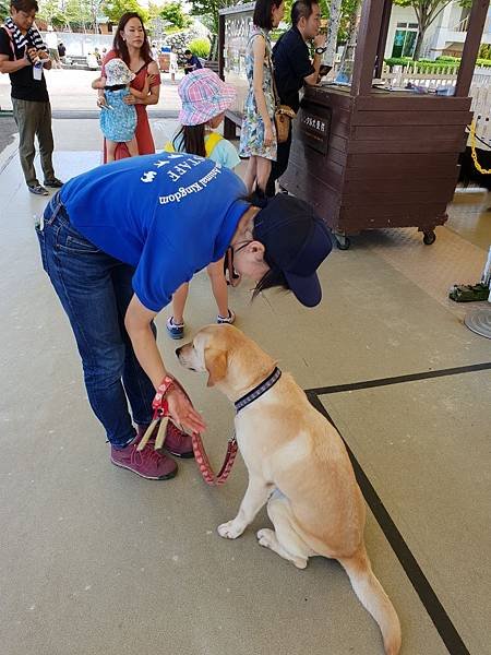 日本栃木県那須どうぶつ王国：レンタル犬 (23).jpg