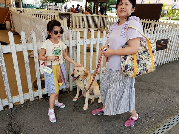 日本栃木県那須どうぶつ王国：レンタル犬 (34).jpg