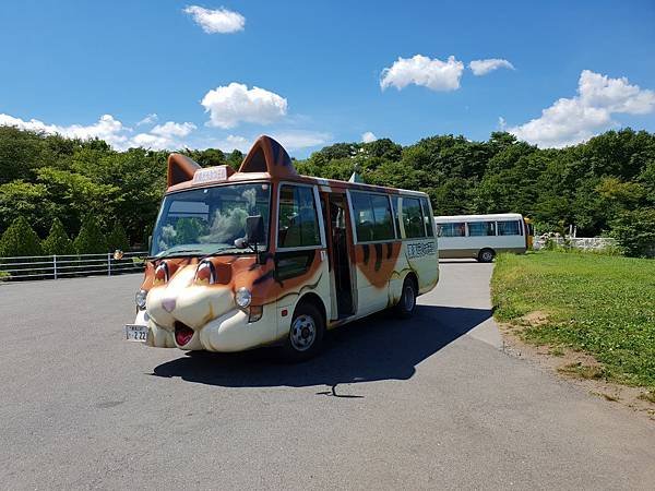 日本栃木県那須どうぶつ王国：ワンニャンバス (8).jpg