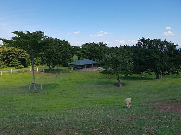 日本栃木県那須どうぶつ王国：王国ファーム (6).jpg