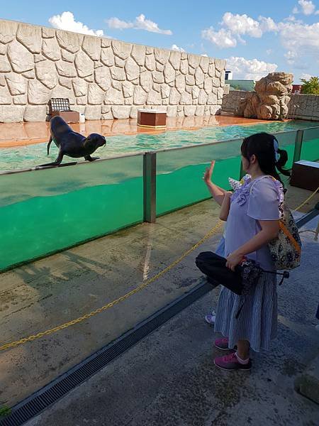 日本栃木県那須どうぶつ王国：アクアステージ (6).jpg