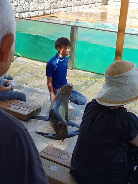 日本栃木県那須どうぶつ王国：アクアステージ (23).jpg