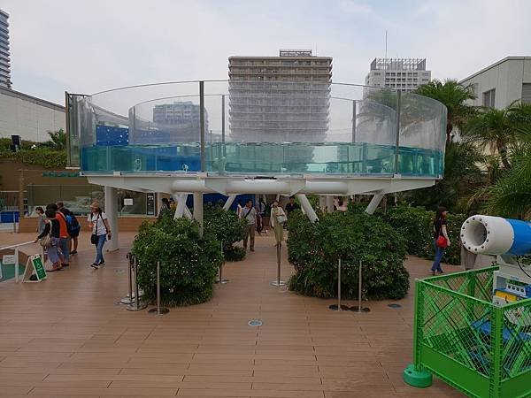 日本東京都Sunshine City：sunshine aQuarium (6).jpg