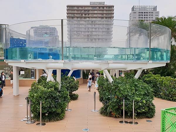 日本東京都Sunshine City：sunshine aQuarium (8).jpg