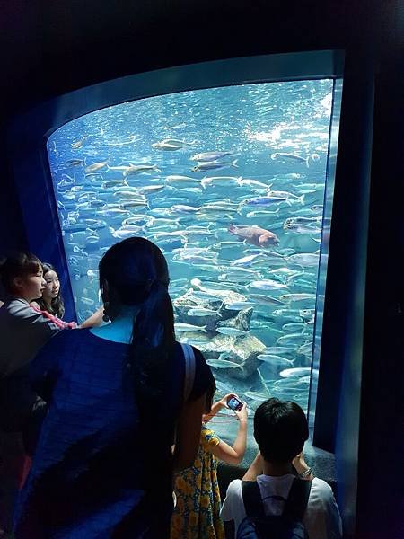 日本東京都Sunshine City：sunshine aQuarium (41).jpg