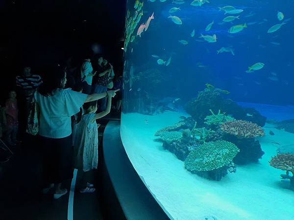 日本東京都Sunshine City：sunshine aQuarium (51).jpg