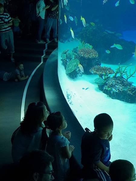 日本東京都Sunshine City：sunshine aQuarium (50).jpg