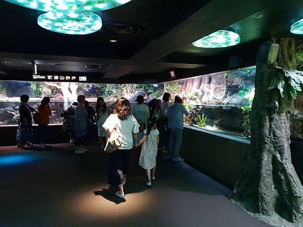 日本東京都Sunshine City：sunshine aQuarium (61).jpg