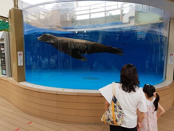 日本東京都Sunshine City：sunshine aQuarium (74).jpg