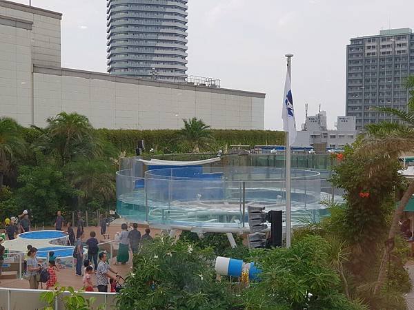 日本東京都Sunshine City：sunshine aQuarium (70).jpg