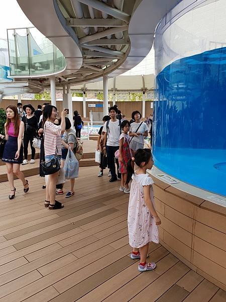 日本東京都Sunshine City：sunshine aQuarium (88).jpg