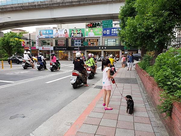 亞亞的一日雙犬傳 (13).jpg