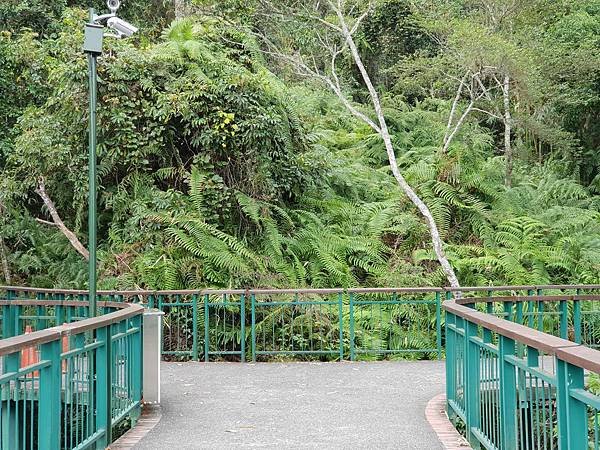 亞亞的員工旅遊：日月潭 (71).jpg
