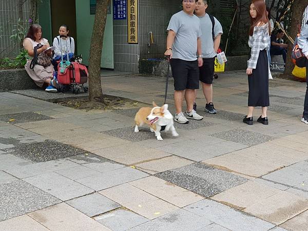 亞亞的汪汪大隊 (44).jpg