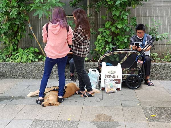 亞亞的汪汪大隊 (48).jpg