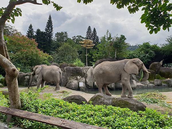 亞亞的動物園家庭日 (23).jpg