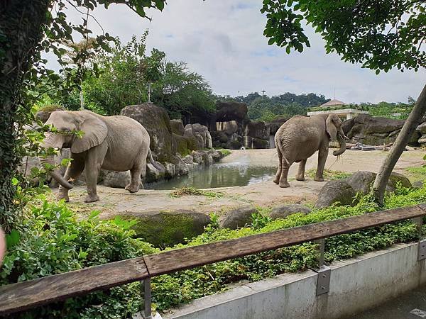 亞亞的動物園家庭日 (26).jpg