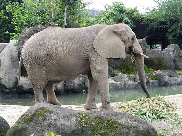 亞亞的動物園家庭日 (25).jpg