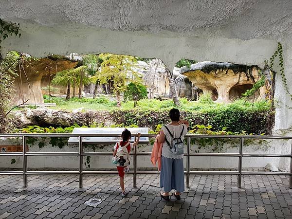 亞亞的動物園家庭日 (33).jpg