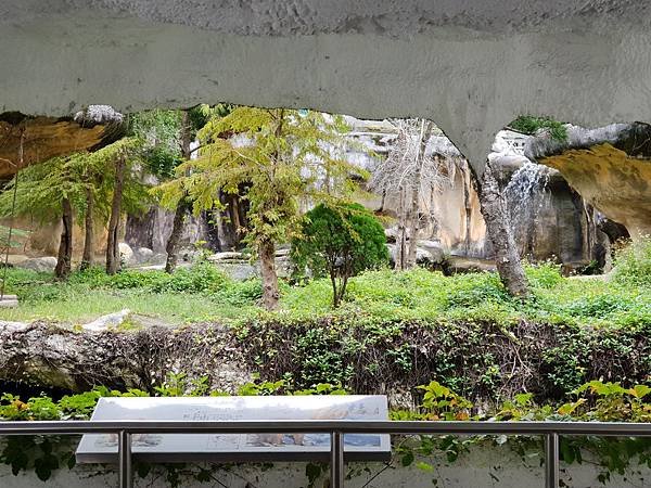 亞亞的動物園家庭日 (35).jpg