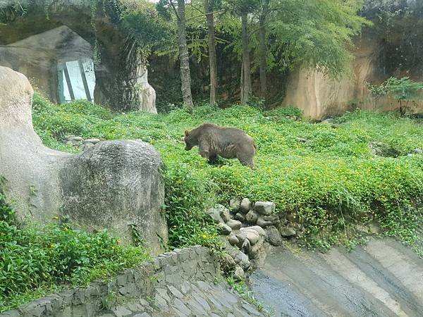 亞亞的動物園家庭日 (37).jpg