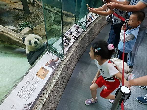 亞亞的動物園家庭日 (58).jpg