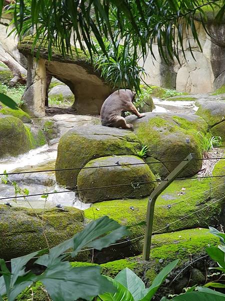 亞亞的動物園家庭日 (75).jpg