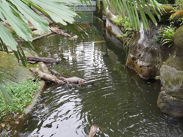 亞亞的動物園家庭日 (72).jpg