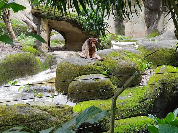 亞亞的動物園家庭日 (73).jpg