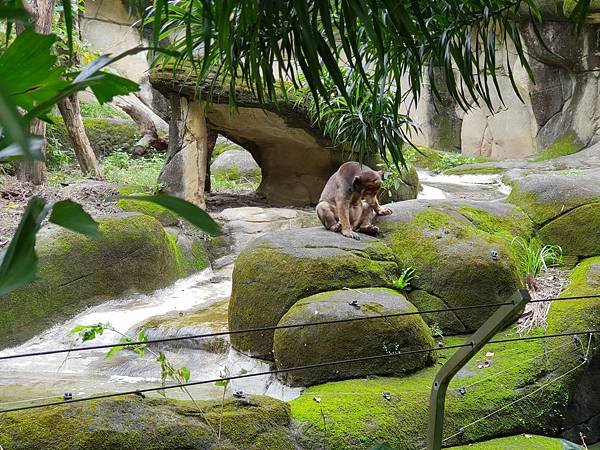 亞亞的動物園家庭日 (74).jpg