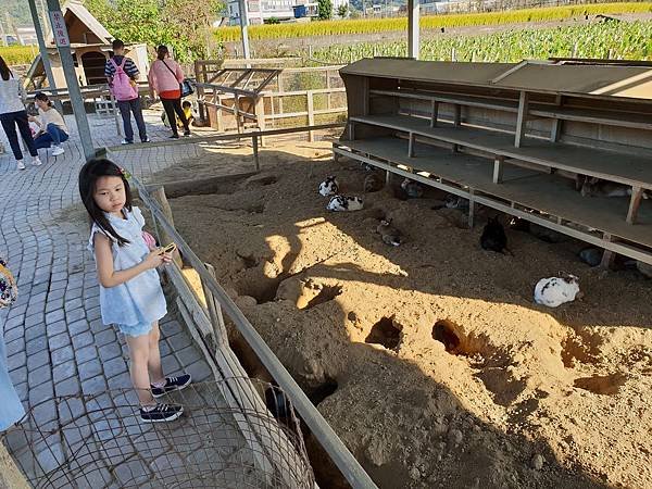 苗栗縣公館鄉棗莊古藝庭園膳坊 (8).jpg