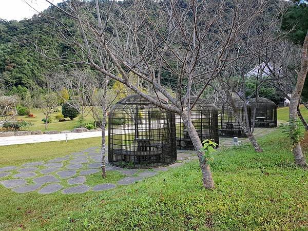 苗栗縣南庄鄉南庄雲水度假森林：水池花園 (3).jpg