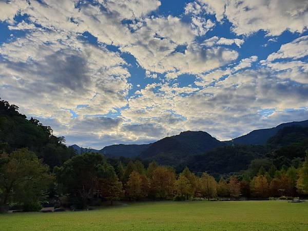 苗栗縣南庄鄉南庄雲水度假森林：羽松湖草原 (7).jpg