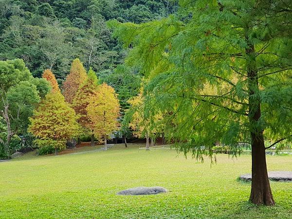 苗栗縣南庄鄉南庄雲水度假森林：羽松湖草原 (9).jpg