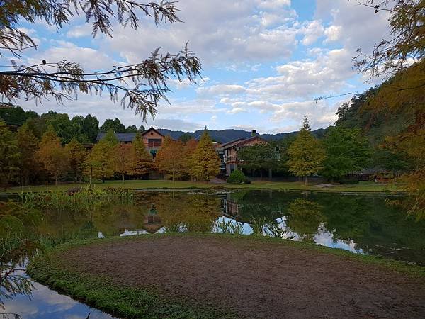 苗栗縣南庄鄉南庄雲水度假森林：羽松湖草原 (14).jpg