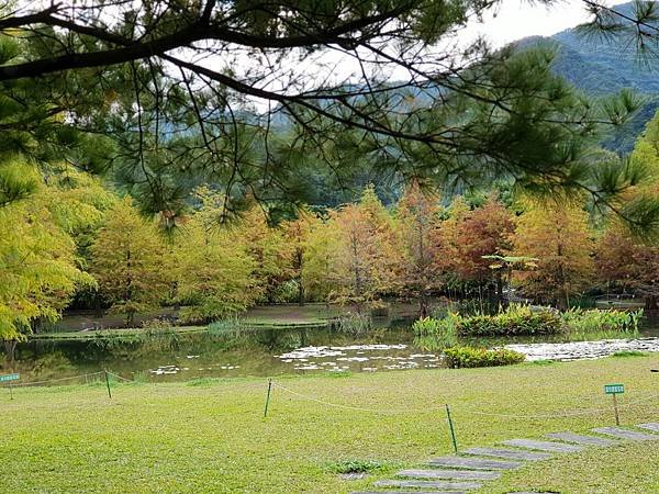 苗栗縣南庄鄉南庄雲水度假森林：羽松湖草原 (10).jpg